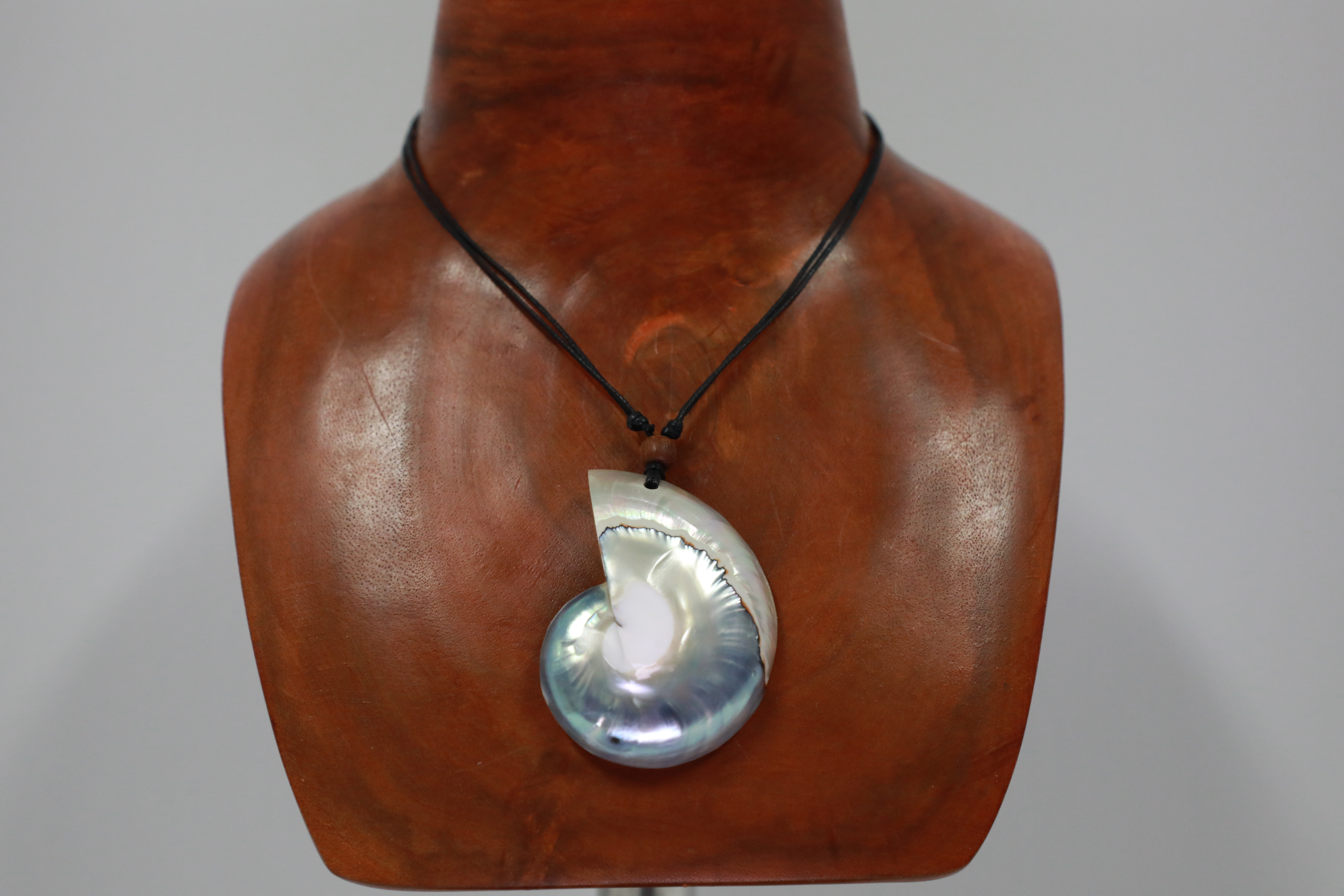 Polished Nautillus Shell Necklace